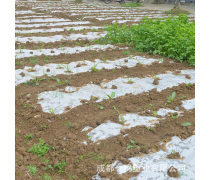 产品库地膜的全面解析 功能、类型与使用指南