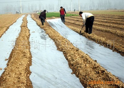 全国低价格农用PE地膜价格分析与生产厂家盘点